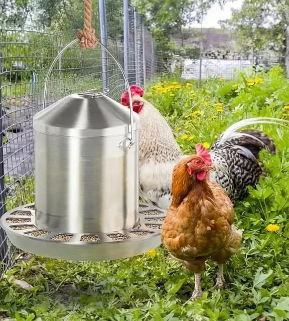 Futterautomat aus Edelstahl hängt an einem Seil am gebogenen Griff vor einem Drahtzaun auf der Wiese, daneben stehen ein hellgefiederter Hahn und eine braune Henne